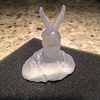 Bunny_Ears-3DMatters2Us.JPG